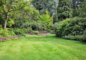 Optimiser l'expérience du jardin à Doncourt-sur-Meuse